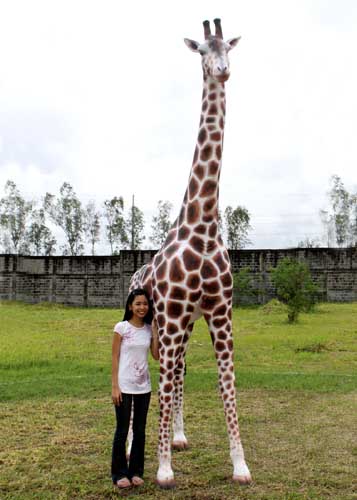 Giraffe 12 Ft.