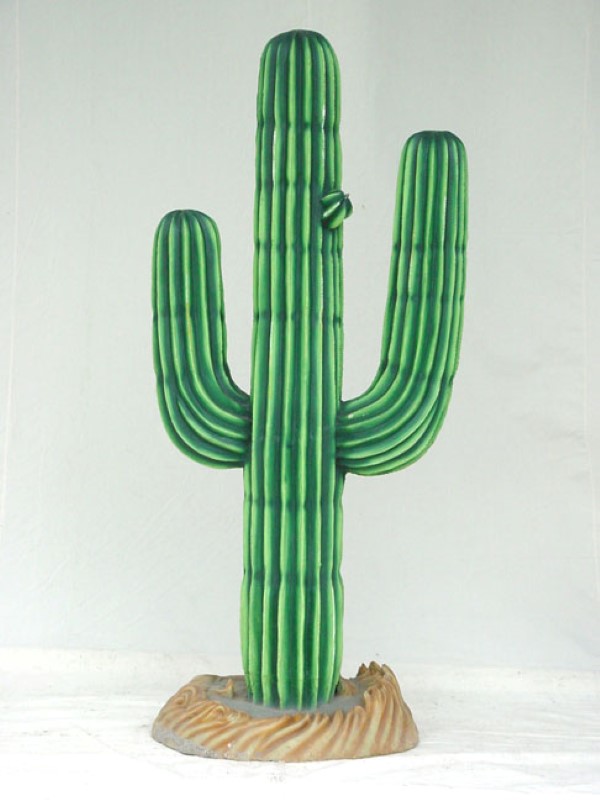 Cactus 6 ft.