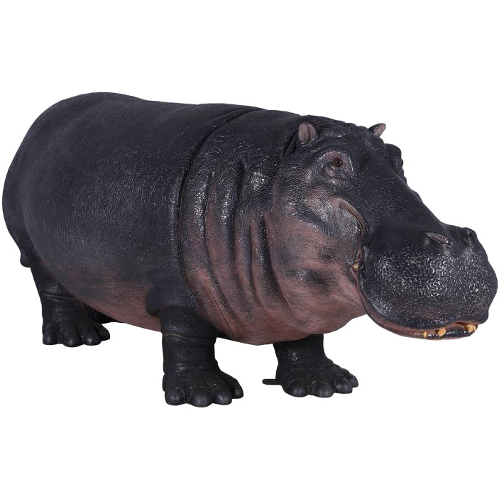 Hippopotamus - New
