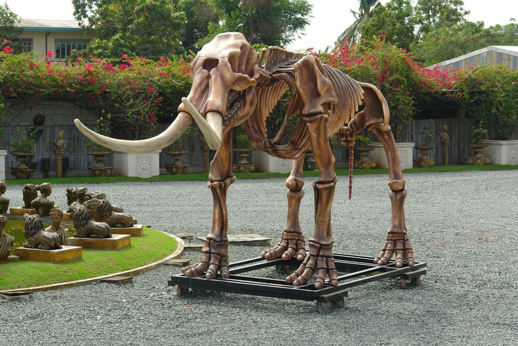 Mastodon Skeleton (Life-Size)