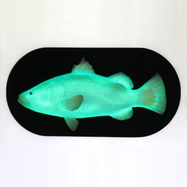 Fish Wall Decor with LED