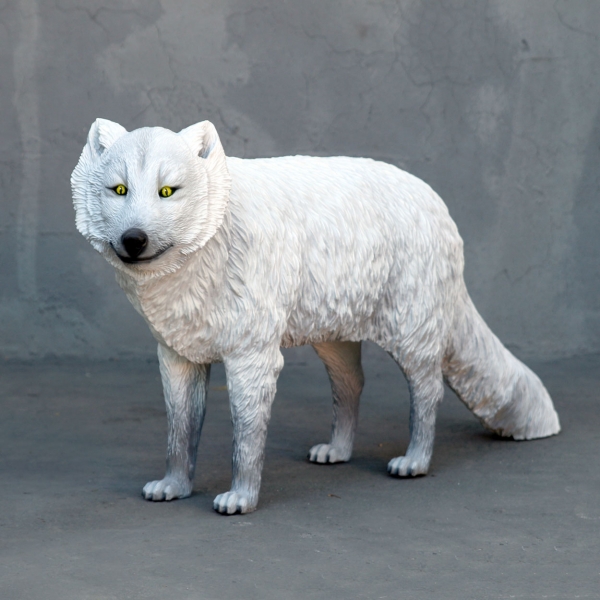 Arctic Fox White