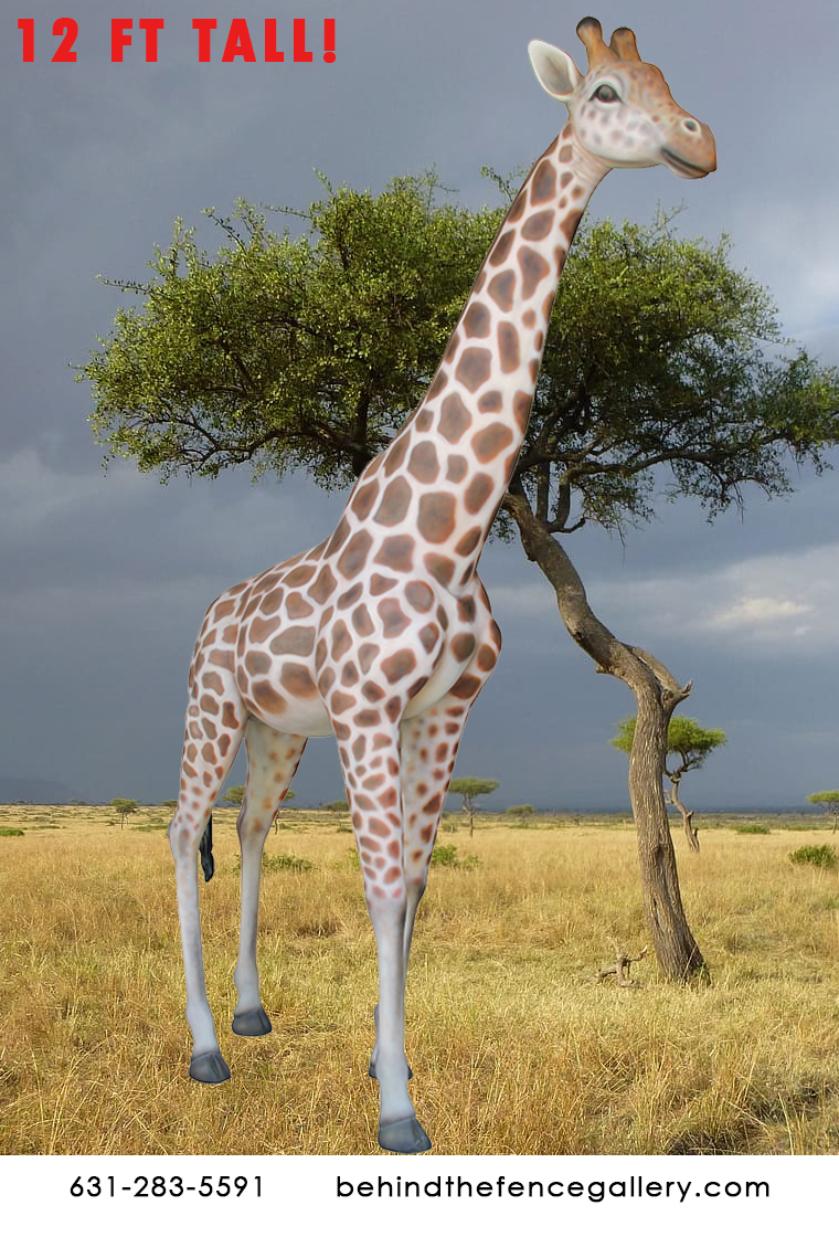 Smooth 12 ft. Tall Giraffe Statue