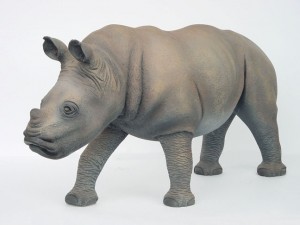 Rhinocerous Baby