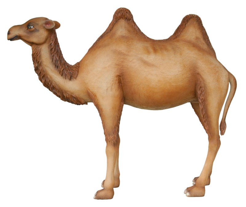 Camel (7 Ft. Tall)