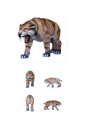 Saber Toothed Tiger - Click Image to Close