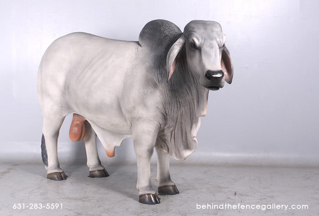 Gray Brahman Bull Statue - Life Size
