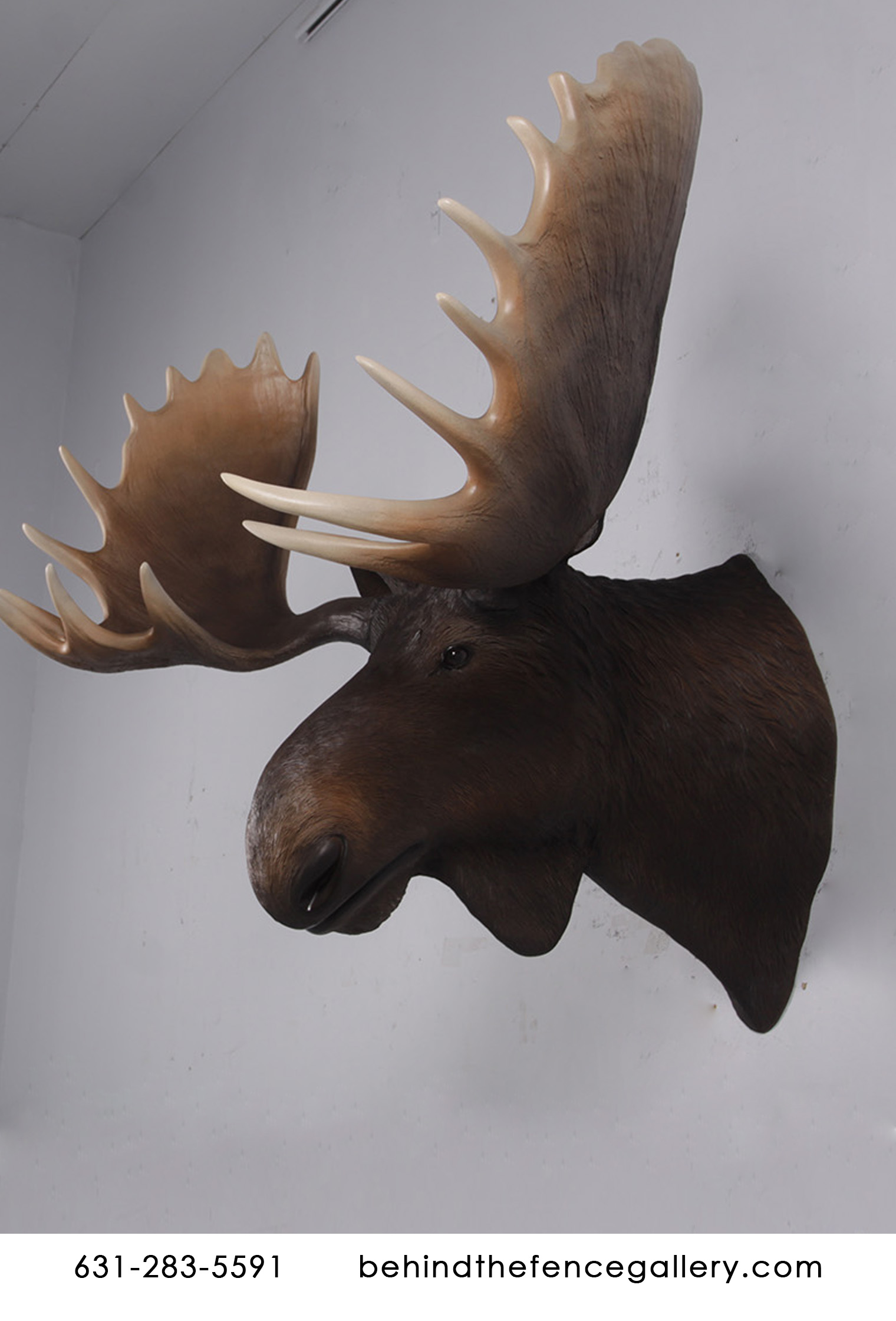 Wall Mounted Moose Head Statue - Click Image to Close