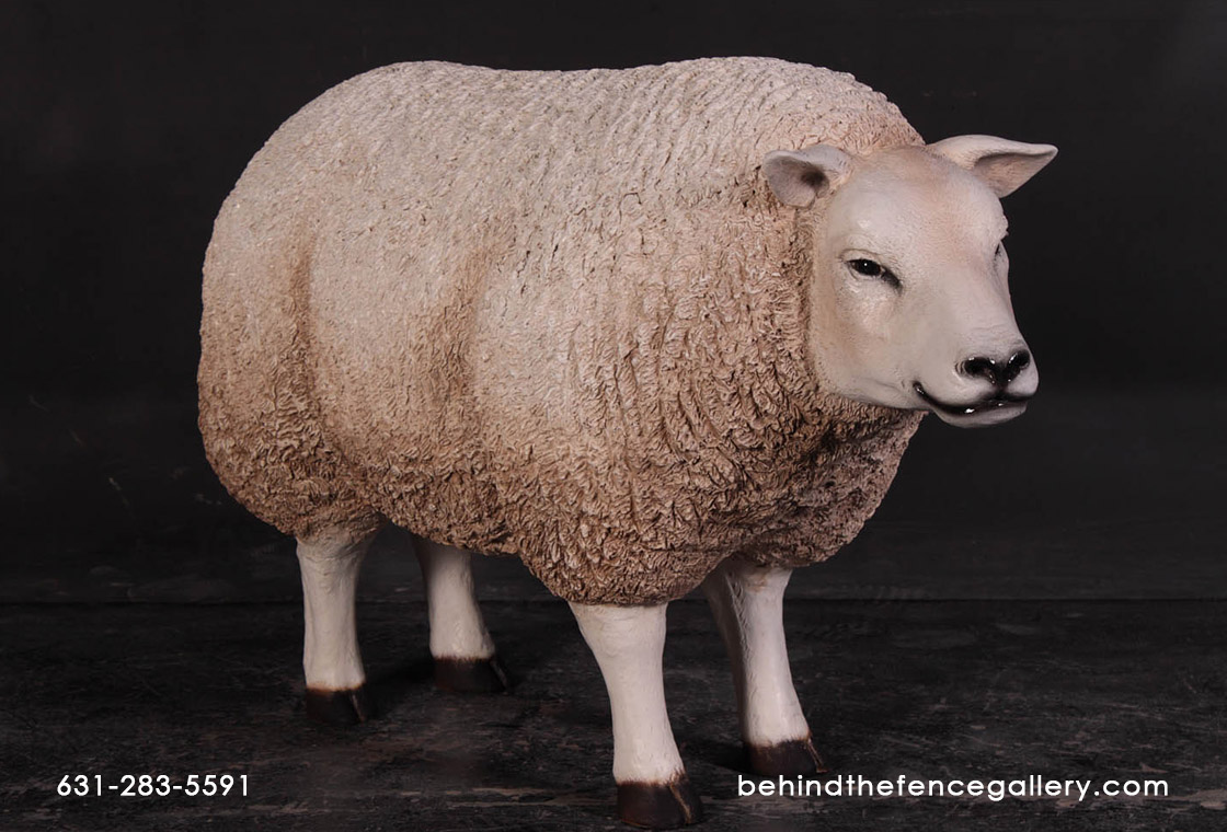 Texelaar Ewe Sheep - Head Up Statue