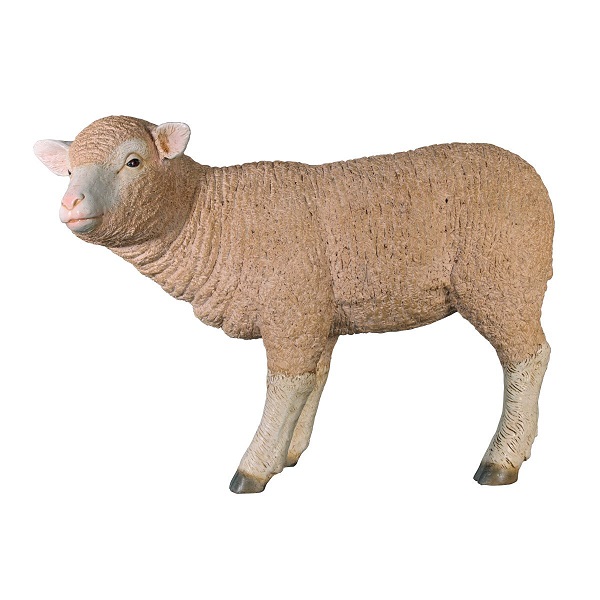 Fiberglass Standing Merino Lamb