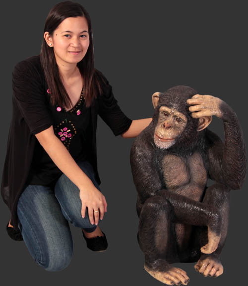 Chimpanzee - Click Image to Close