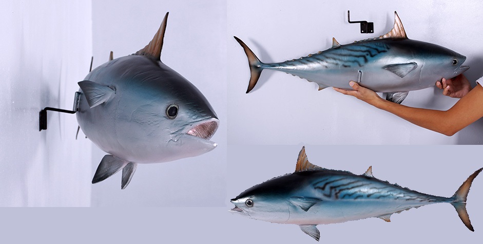 Mackerel Tuna - Click Image to Close