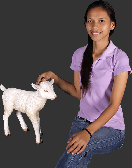 Goat Kid Standing - Click Image to Close