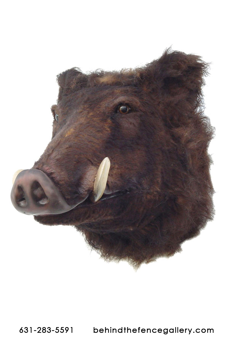 Wild Boar Head Wall Mount