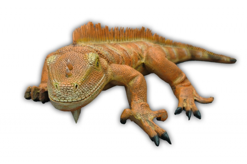 Iguana (New Color) 3 Ft Long - Click Image to Close