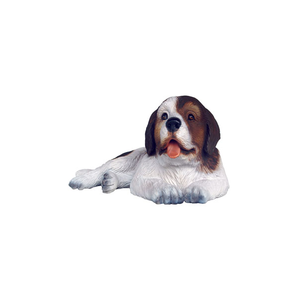 Saint Bernard Dog Puppy 2 - Click Image to Close