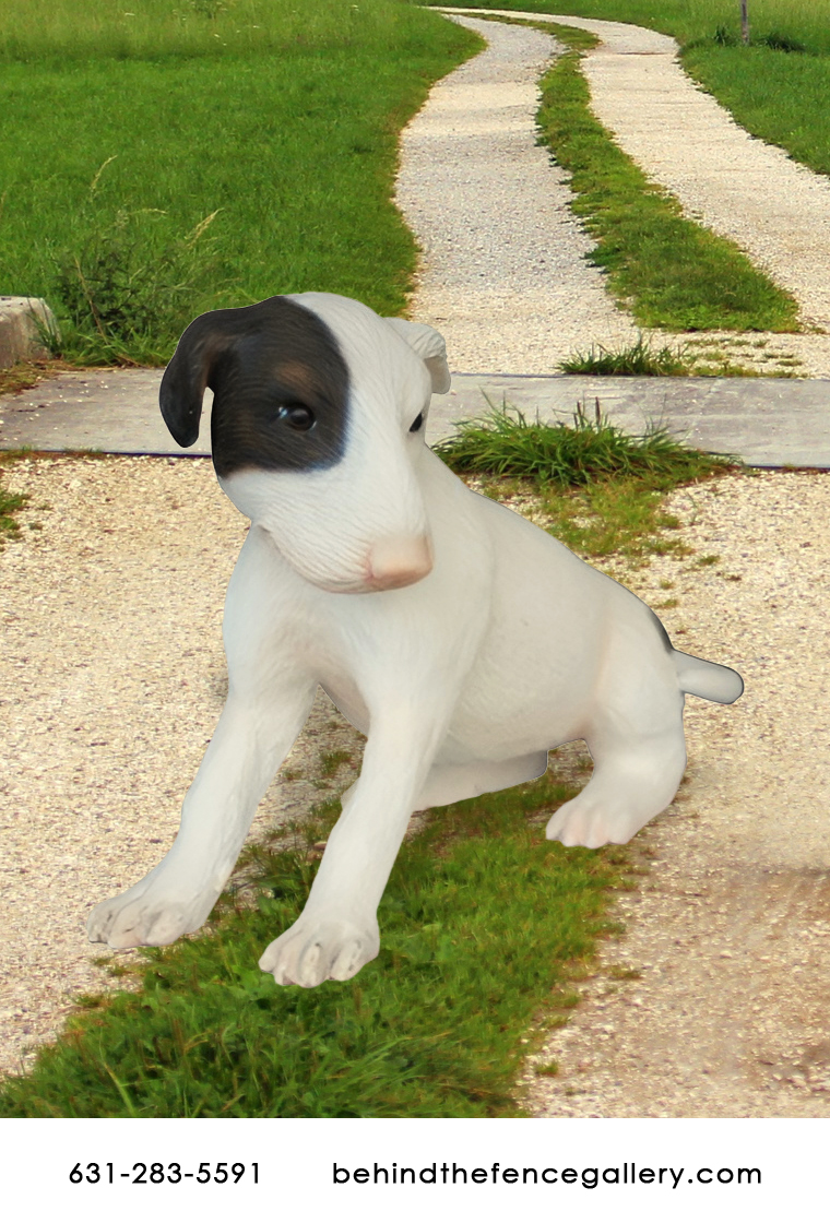 Bull Terrier Dog Puppy