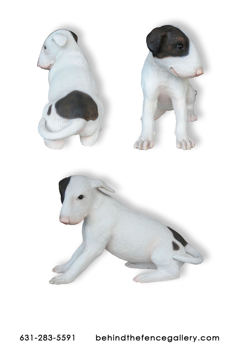 Bull Terrier Dog Puppy