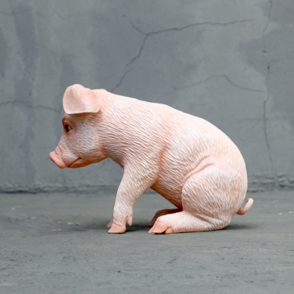 Adorable sitting piglet - Click Image to Close