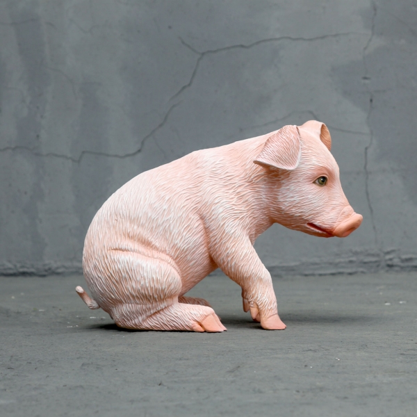 Adorable sitting piglet - Click Image to Close