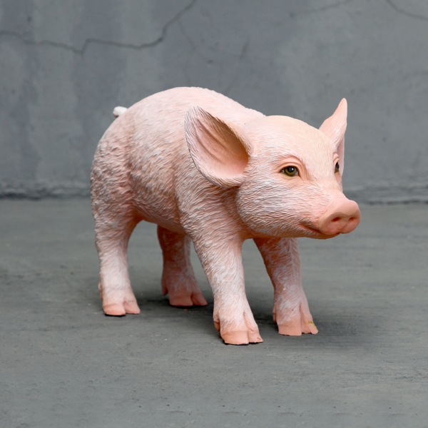 Adorable standing piglet - Click Image to Close