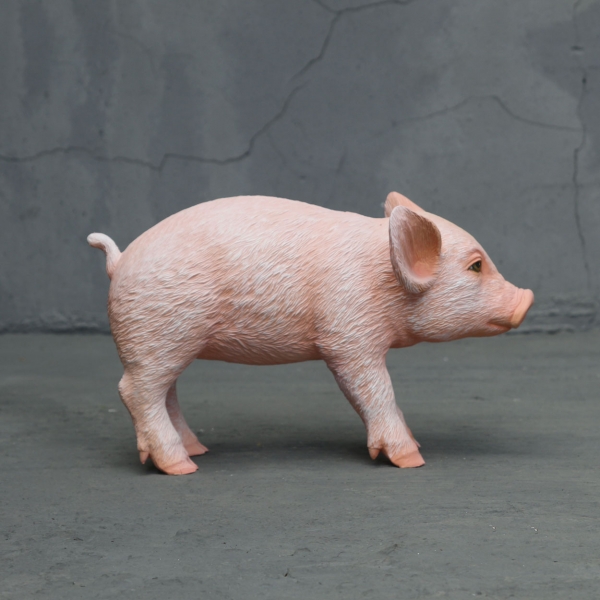 Adorable standing piglet - Click Image to Close