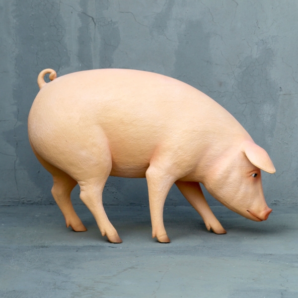 Pig with Head Down - Click Image to Close