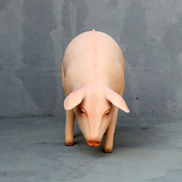 Pig with Head Down - Click Image to Close