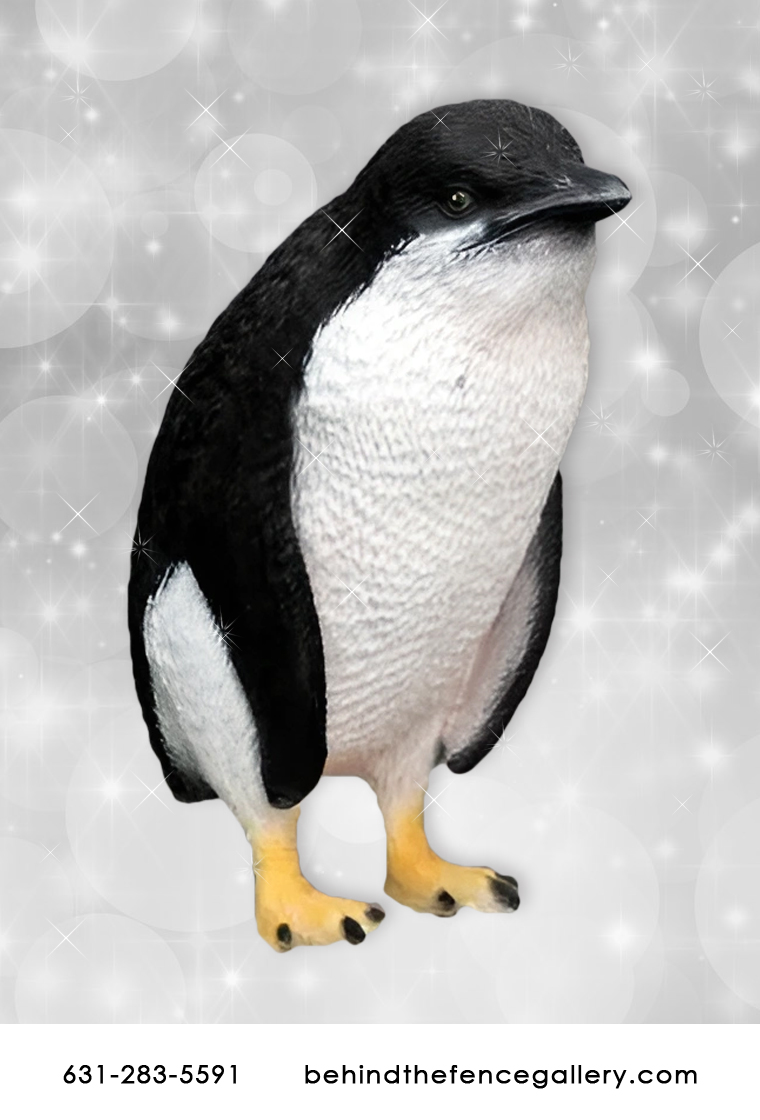 Fairy Penguin