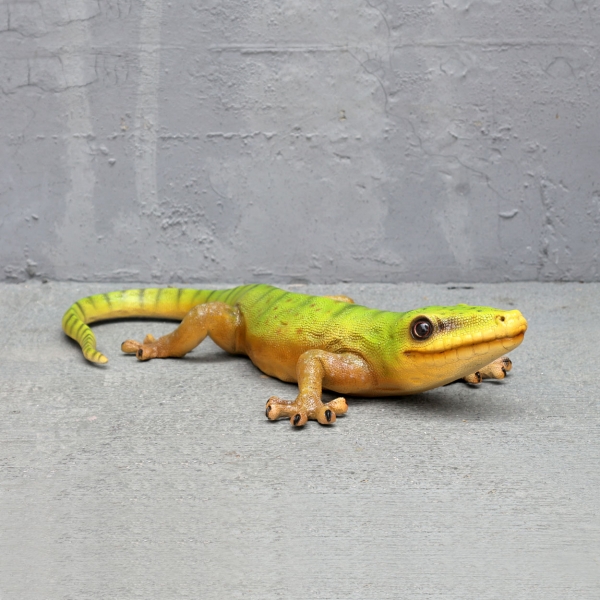 Gecko - Click Image to Close