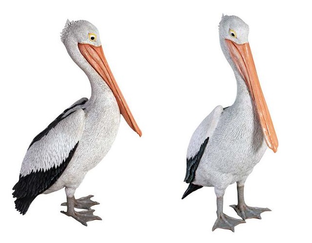 Standing Pelican / Fiberglass