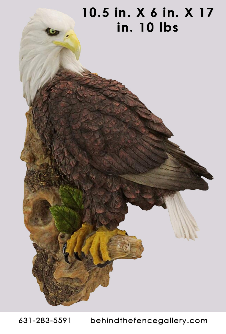 (image for) American Bald Eagle