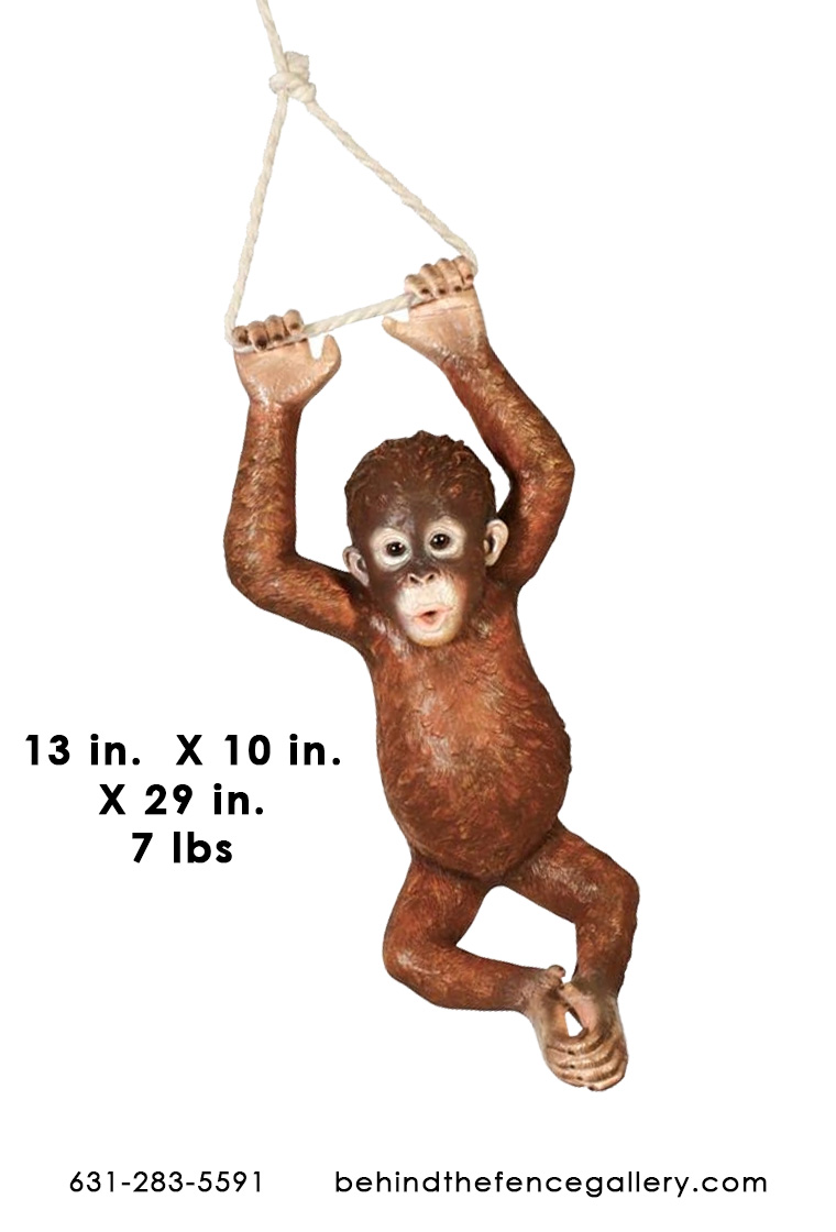 Hanging Baby Orangutan