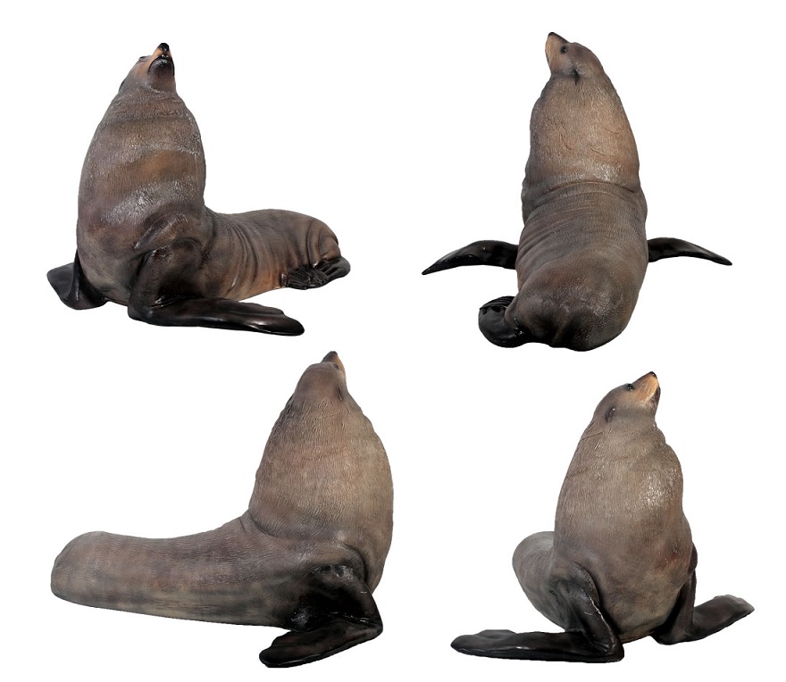 Male Fur Seal / Fiberglass - Click Image to Close