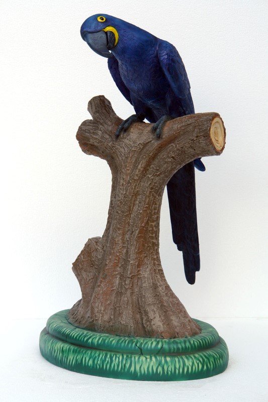Hyacinth Macaw 3 ft. - Click Image to Close