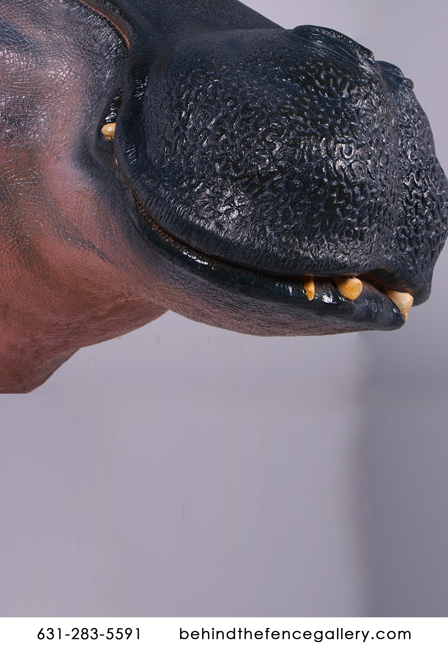 (image for) Hippo Wall Mount Statue