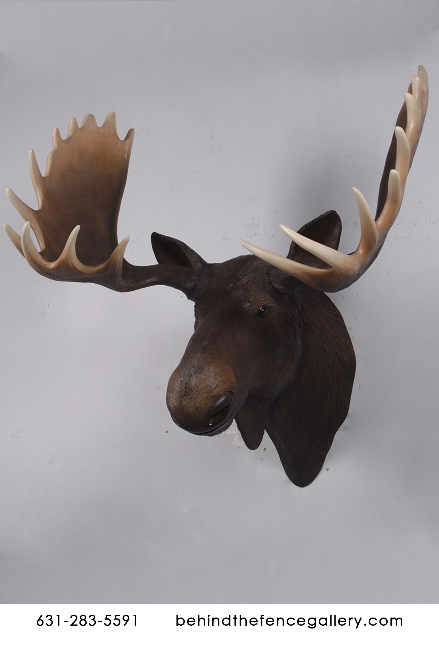 (image for) Wall Mounted Moose Head Statue