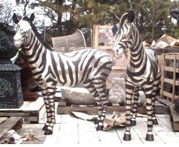 (image for) Bronze Zebra