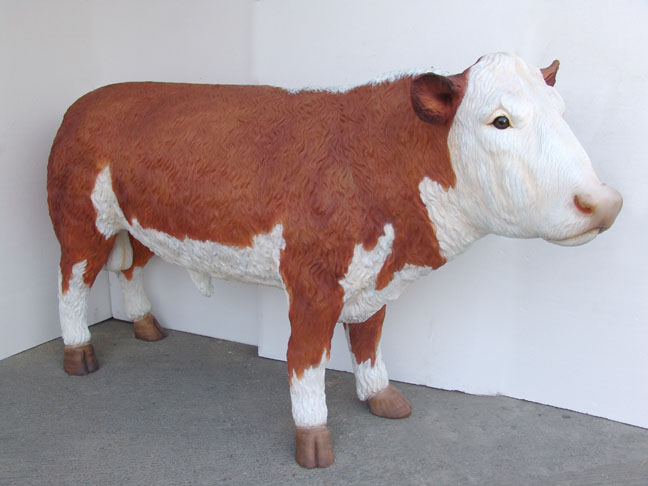 Hereford Bull (Brown-White Angus Bull)