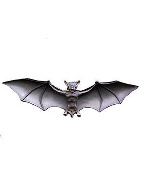 Bat