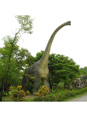 Adult Brachiosaurus