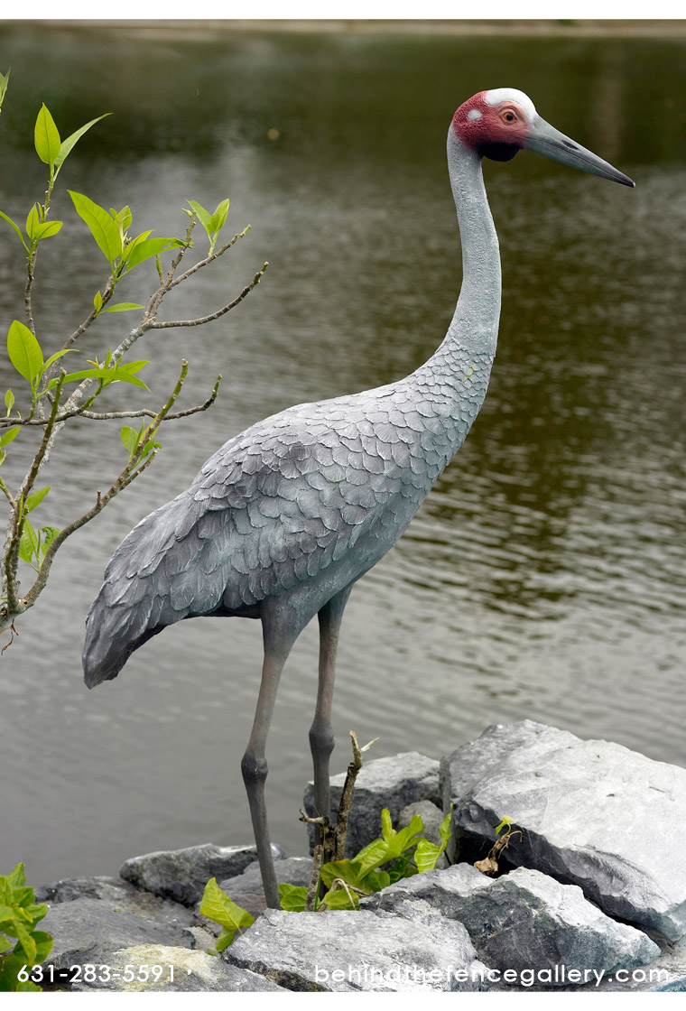 Brolga Crane Statue