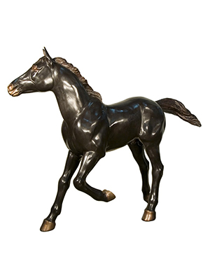 Bronze Colt