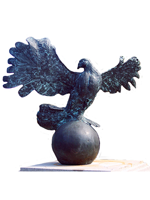 Bronze Dove