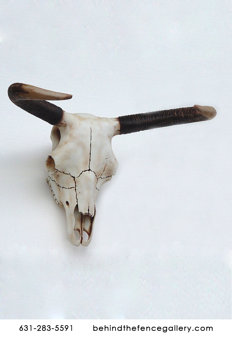 Bull Skull Wall Mount