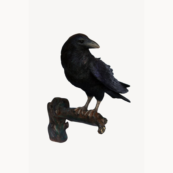 Raven on Branch - Click Image to Close