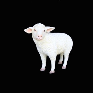 Merino Lamb Standing - Click Image to Close