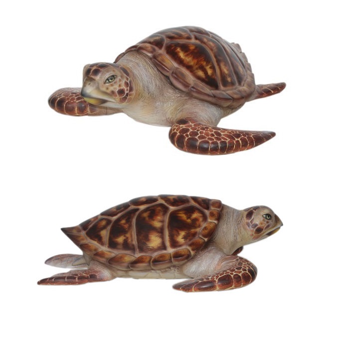 Hawksbill Sea Turtle - Click Image to Close