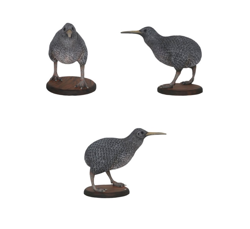 Kiwi Bird - Click Image to Close