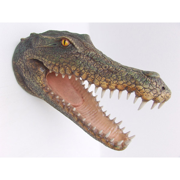 Crocodile Head - Click Image to Close